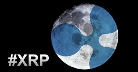 XRPとは？～仮想通貨用語～ | ビットコイン・アルトコイン仮想通貨情報サイト ビットチャンス